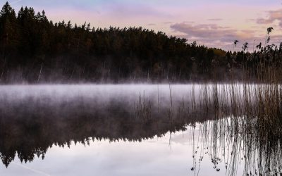 Schwedenkrimi Lågomby