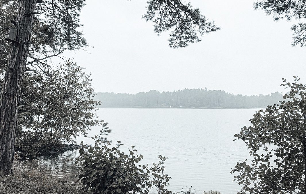 Tod und Verderben in idyllischer Landschaft