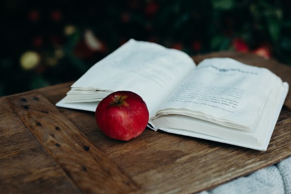 Das Märchen vom Wunderhaus Verlag Das Märchen vom Wunderhaus Verlag